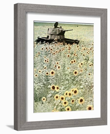 Operation Barbarossa, 1942-German photographer-Framed Photographic Print