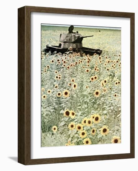 Operation Barbarossa, 1942-German photographer-Framed Photographic Print