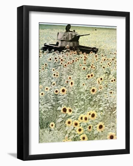 Operation Barbarossa, 1942-German photographer-Framed Photographic Print