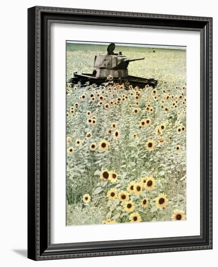 Operation Barbarossa, 1942-German photographer-Framed Photographic Print