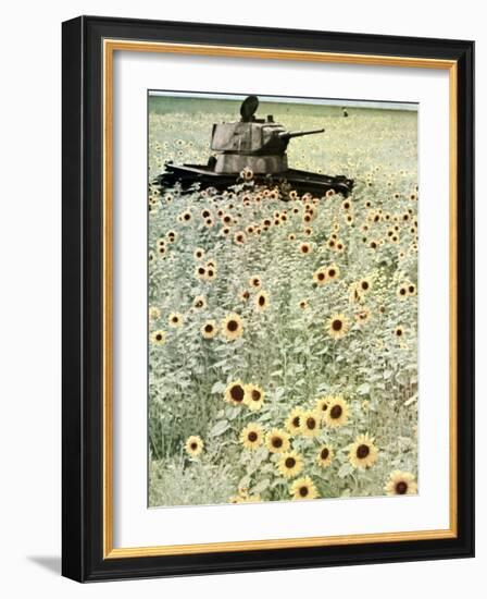 Operation Barbarossa, 1942-German photographer-Framed Photographic Print