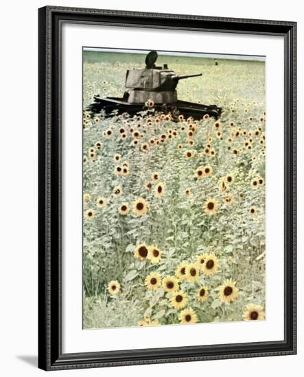 Operation Barbarossa, 1942-German photographer-Framed Photographic Print