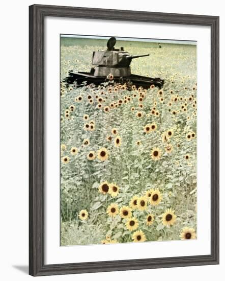 Operation Barbarossa, 1942-German photographer-Framed Photographic Print