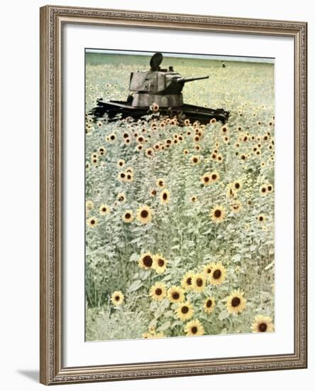 Operation Barbarossa, 1942-German photographer-Framed Photographic Print