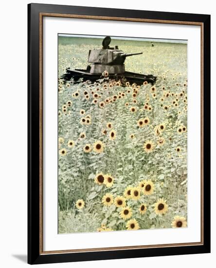 Operation Barbarossa, 1942-German photographer-Framed Photographic Print