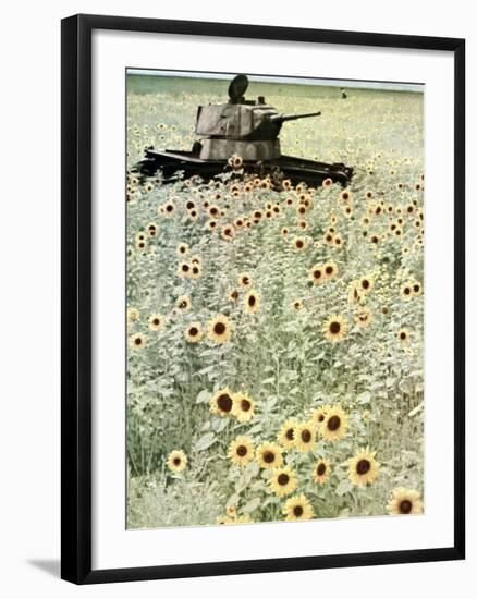 Operation Barbarossa, 1942-German photographer-Framed Photographic Print