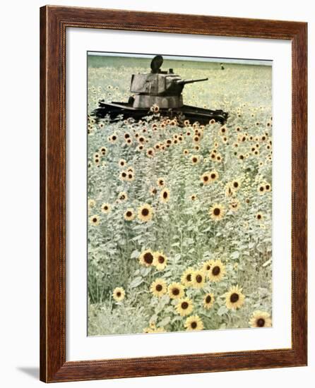 Operation Barbarossa, 1942-German photographer-Framed Photographic Print