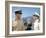 Operation Petticoat (photo)-null-Framed Photo