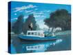 Stretched Canvas Print