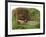 Ophelia-John Everett Millais-Framed Giclee Print