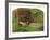 Ophelia-John Everett Millais-Framed Giclee Print