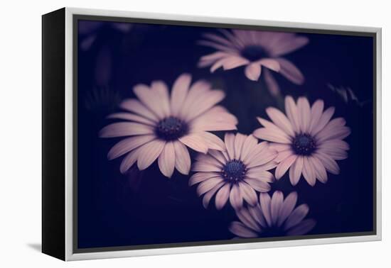 Ophelia-Philippe Sainte-Laudy-Framed Premier Image Canvas