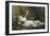 Ophelia-Alexandre Cabanel-Framed Giclee Print