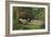 Ophelia-John Everett Millais-Framed Giclee Print