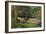 Ophelia-John Everett Millais-Framed Giclee Print