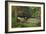 Ophelia-John Everett Millais-Framed Giclee Print