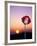 Opium Poppy at Sunset, Thailand-Merrill Images-Framed Photographic Print