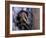 Opossum, Huara, Lima-Andres Morya-Framed Photographic Print