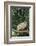 Opossum in Tree-DLILLC-Framed Photographic Print