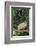Opossum in Tree-DLILLC-Framed Photographic Print