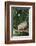 Opossum in Tree-DLILLC-Framed Photographic Print