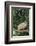 Opossum in Tree-DLILLC-Framed Photographic Print