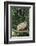 Opossum in Tree-DLILLC-Framed Photographic Print