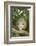 Opossum in Tree-DLILLC-Framed Photographic Print