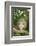 Opossum in Tree-DLILLC-Framed Photographic Print