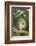 Opossum in Tree-DLILLC-Framed Photographic Print