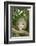 Opossum in Tree-DLILLC-Framed Photographic Print