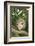 Opossum in Tree-DLILLC-Framed Photographic Print