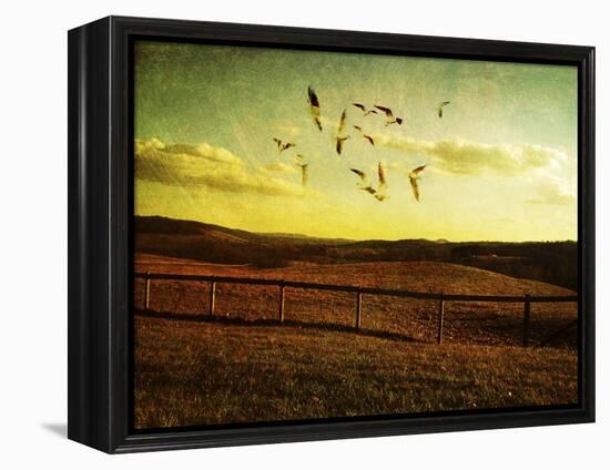 Opportunity Fleeting 2-Christy Ann-Framed Premier Image Canvas