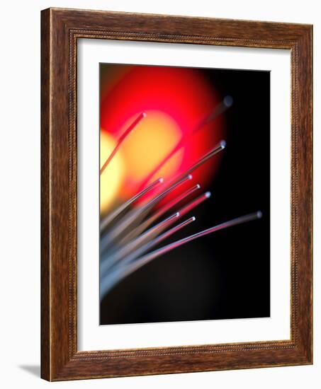 Optical Fibres-Tek Image-Framed Photographic Print