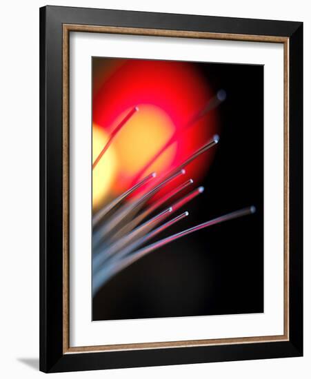 Optical Fibres-Tek Image-Framed Photographic Print