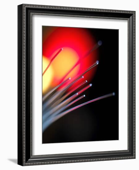 Optical Fibres-Tek Image-Framed Photographic Print