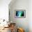 Optical Fibres-Paul Rapson-Framed Photographic Print displayed on a wall