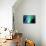 Optical Fibres-Paul Rapson-Mounted Photographic Print displayed on a wall