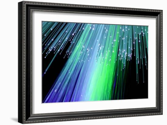 Optical Fibres-Paul Rapson-Framed Photographic Print