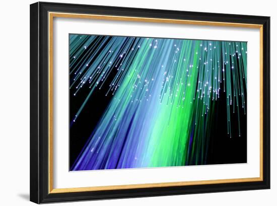 Optical Fibres-Paul Rapson-Framed Photographic Print