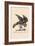 Optical Illusion Puzzle: The Hawk and Rabbit-null-Framed Art Print
