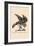 Optical Illusion Puzzle: The Hawk and Rabbit-null-Framed Art Print