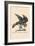 Optical Illusion Puzzle: The Hawk and Rabbit-null-Framed Premium Giclee Print