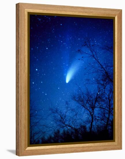 Optical Image of Comet Hale-Bopp, 6 April 1997-Detlev Van Ravenswaay-Framed Premier Image Canvas