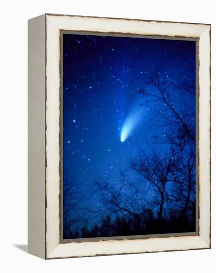 Optical Image of Comet Hale-Bopp, 6 April 1997-Detlev Van Ravenswaay-Framed Premier Image Canvas