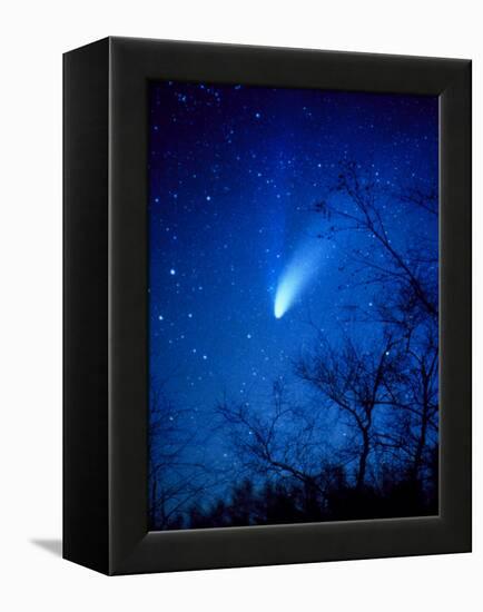 Optical Image of Comet Hale-Bopp, 6 April 1997-Detlev Van Ravenswaay-Framed Premier Image Canvas