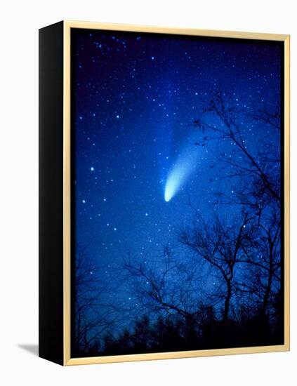 Optical Image of Comet Hale-Bopp, 6 April 1997-Detlev Van Ravenswaay-Framed Premier Image Canvas