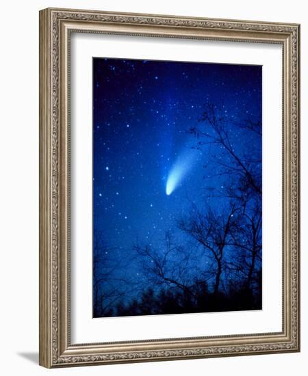 Optical Image of Comet Hale-Bopp, 6 April 1997-Detlev Van Ravenswaay-Framed Photographic Print