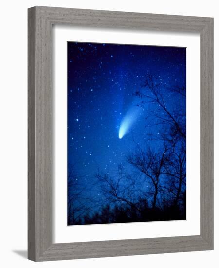 Optical Image of Comet Hale-Bopp, 6 April 1997-Detlev Van Ravenswaay-Framed Photographic Print