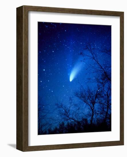 Optical Image of Comet Hale-Bopp, 6 April 1997-Detlev Van Ravenswaay-Framed Photographic Print